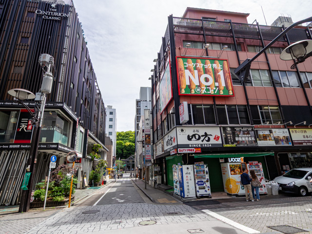 画像を別ウィンドウで表示します 画像
