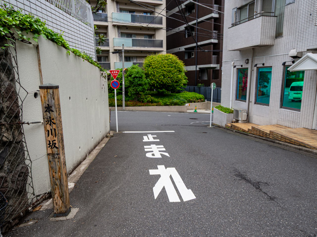 画像を別ウィンドウで表示します 画像