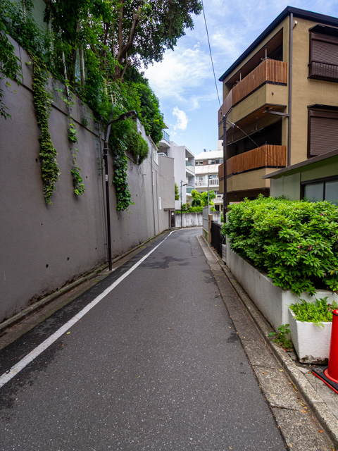 画像を別ウィンドウで表示します 画像