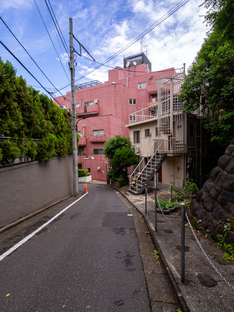 画像を別ウィンドウで表示します 画像