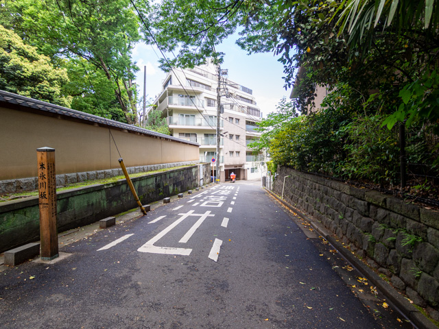 画像を別ウィンドウで表示します 画像