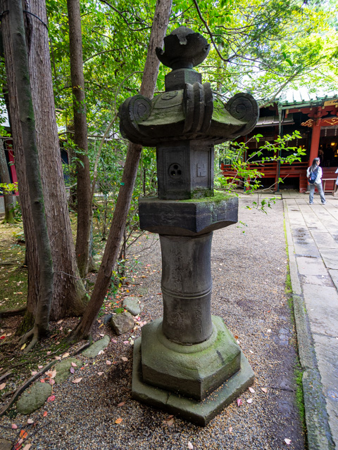 画像を別ウィンドウで表示します 画像