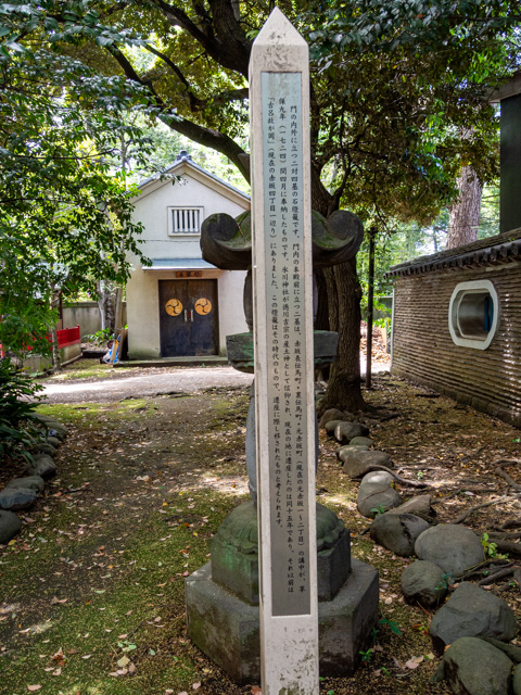 画像を別ウィンドウで表示します 画像