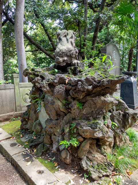 画像を別ウィンドウで表示します 画像