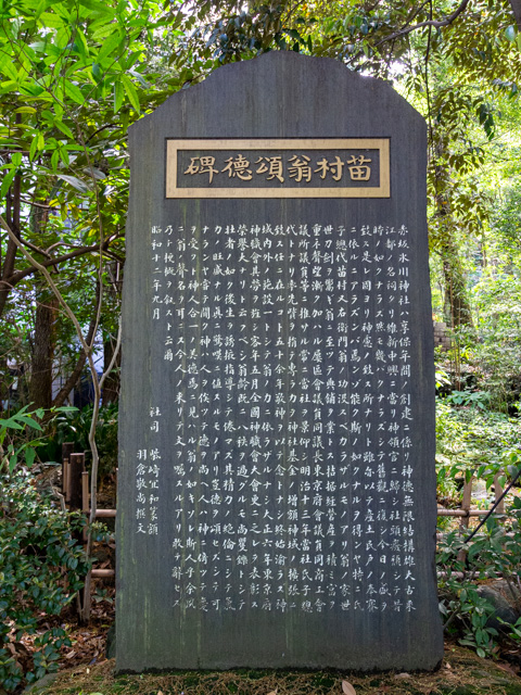画像を別ウィンドウで表示します 画像