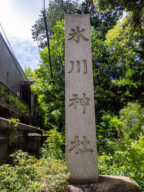画像を別ウィンドウで表示します 画像