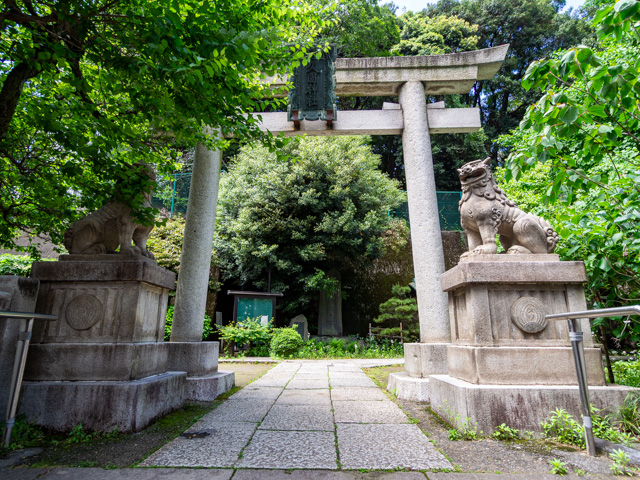 画像を別ウィンドウで表示します 画像