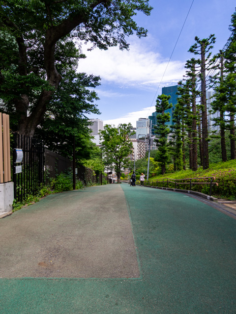 画像を別ウィンドウで表示します 画像