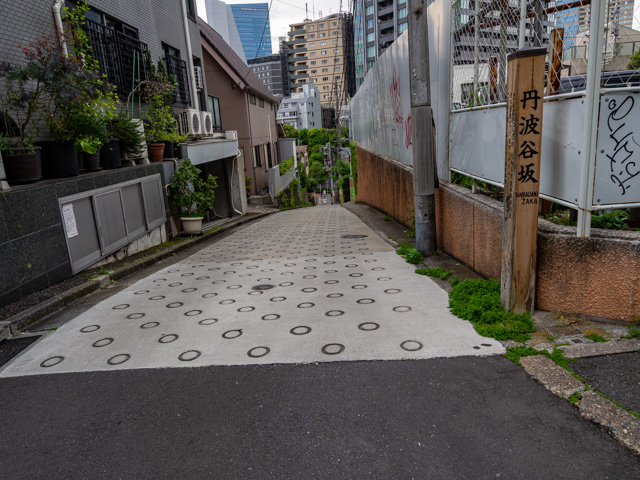 画像を別ウィンドウで表示します 画像