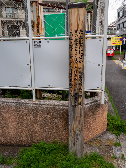 画像を別ウィンドウで表示します 画像