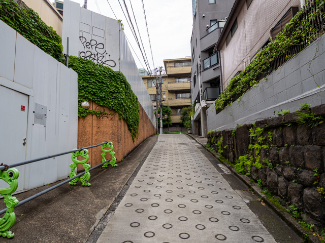 画像を別ウィンドウで表示します 画像