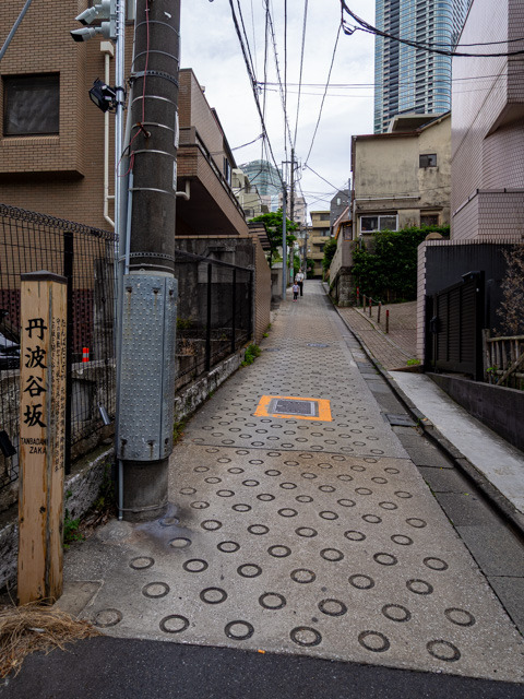 画像を別ウィンドウで表示します 画像