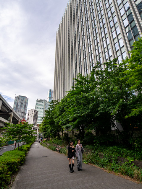 画像を別ウィンドウで表示します 画像