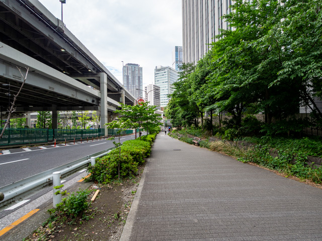 画像を別ウィンドウで表示します 画像