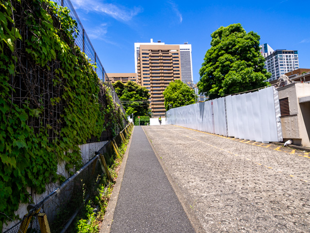 画像を別ウィンドウで表示します 画像