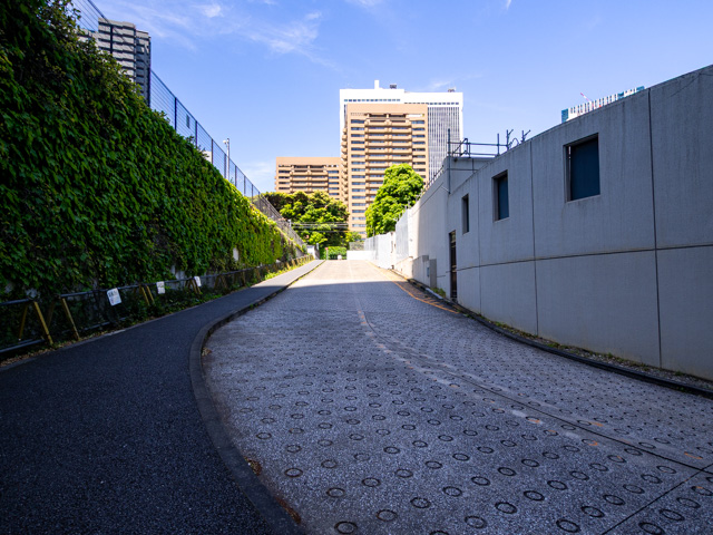 画像を別ウィンドウで表示します 画像
