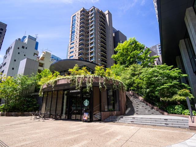画像を別ウィンドウで表示します 画像