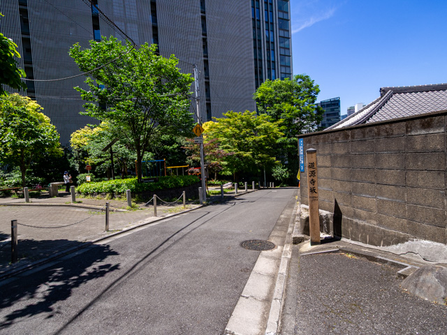 画像を別ウィンドウで表示します 画像