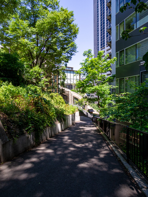 画像を別ウィンドウで表示します 画像
