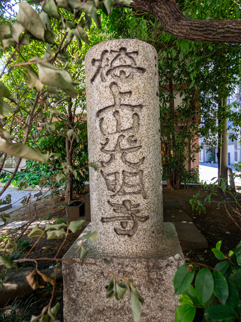 画像を別ウィンドウで表示します 画像