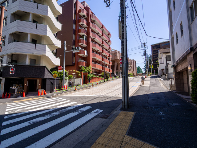 画像を別ウィンドウで表示します 画像