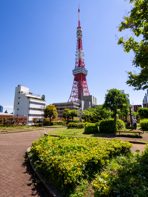 画像を別ウィンドウで表示します 画像