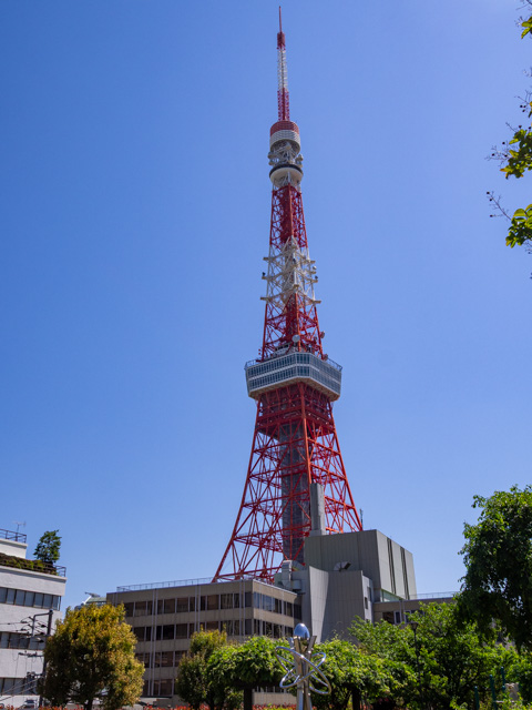 画像を別ウィンドウで表示します 画像