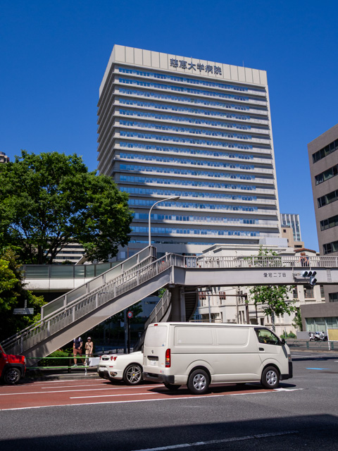 画像を別ウィンドウで表示します 画像