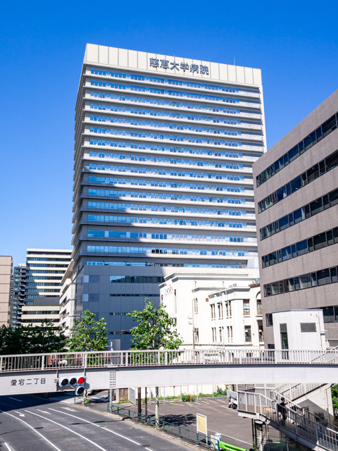 画像を別ウィンドウで表示します 画像