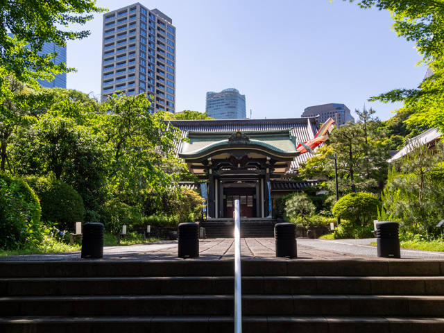 画像を別ウィンドウで表示します 画像