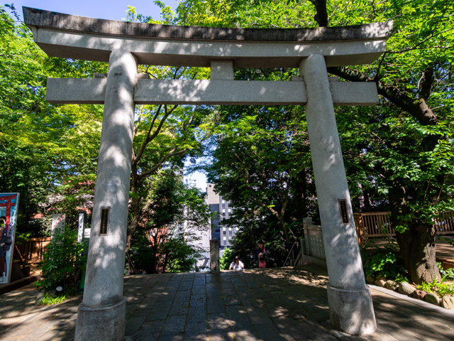 画像を別ウィンドウで表示します 画像
