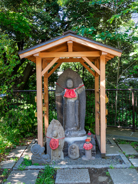 画像を別ウィンドウで表示します 画像
