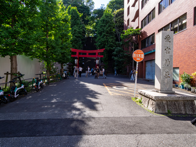 画像を別ウィンドウで表示します 画像