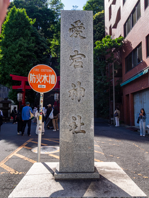 画像を別ウィンドウで表示します 画像