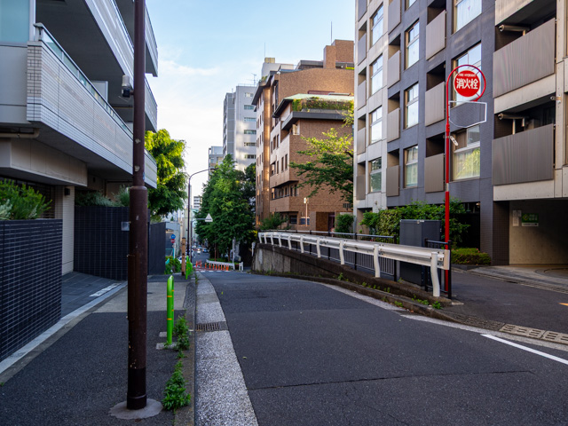 画像を別ウィンドウで表示します 画像