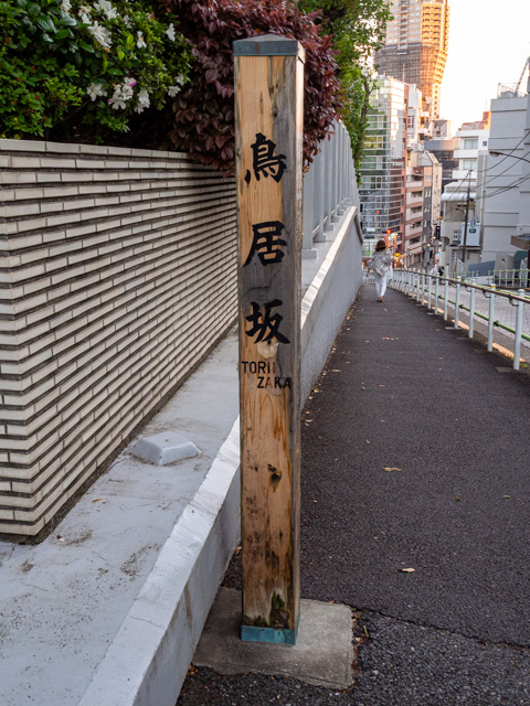 画像を別ウィンドウで表示します 画像