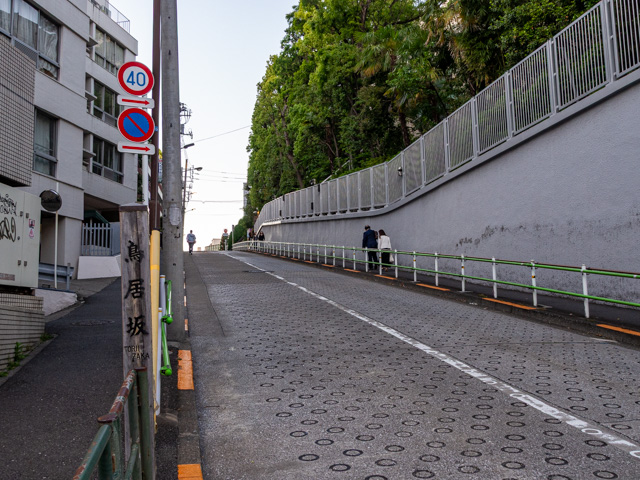 画像を別ウィンドウで表示します 画像