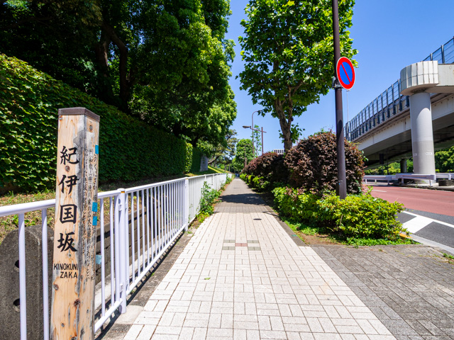 画像を別ウィンドウで表示します 画像