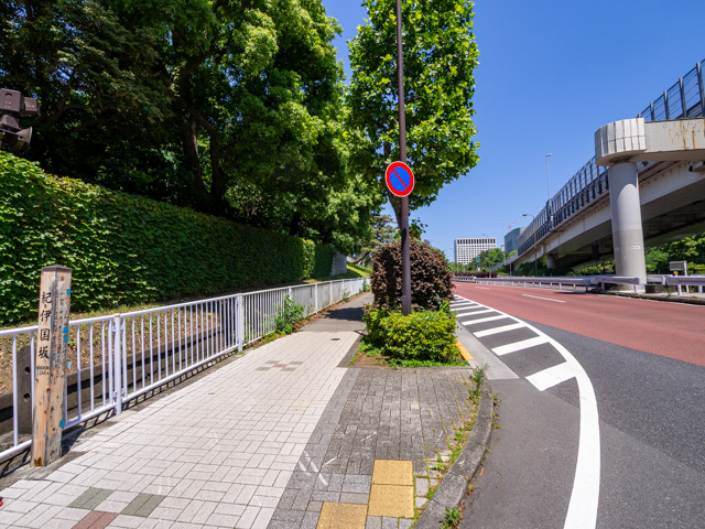 画像を別ウィンドウで表示します 画像