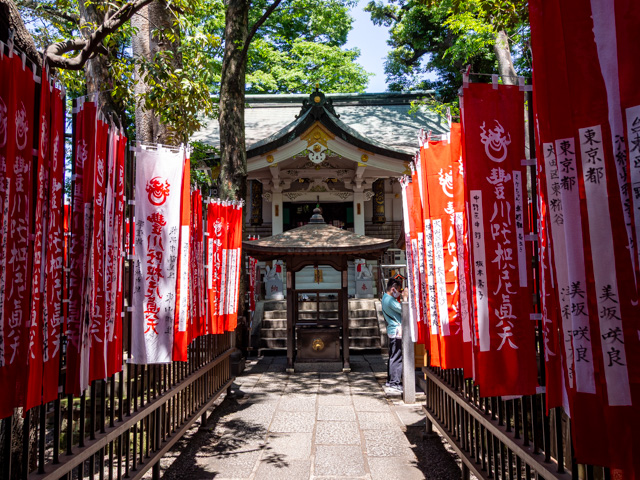 画像を別ウィンドウで表示します 画像
