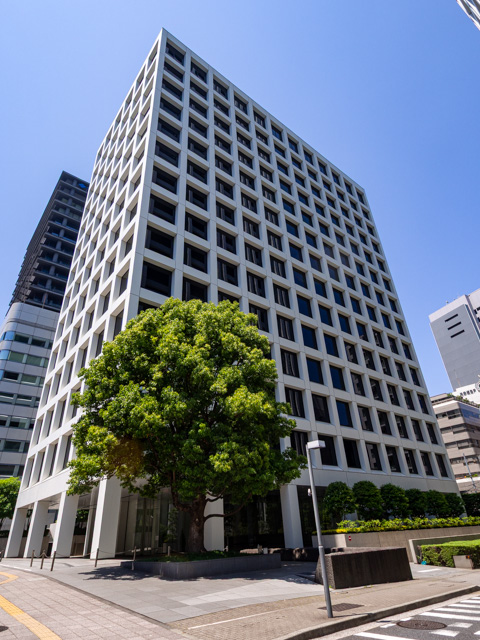 画像を別ウィンドウで表示します 画像