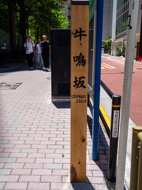 画像を別ウィンドウで表示します 画像