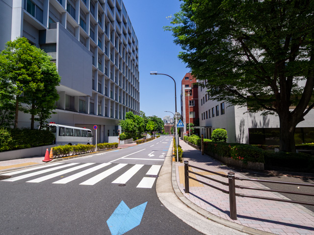 画像を別ウィンドウで表示します 画像
