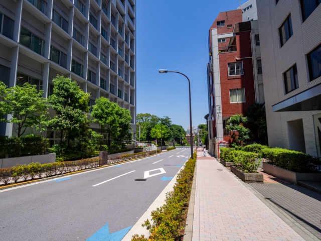 画像を別ウィンドウで表示します 画像