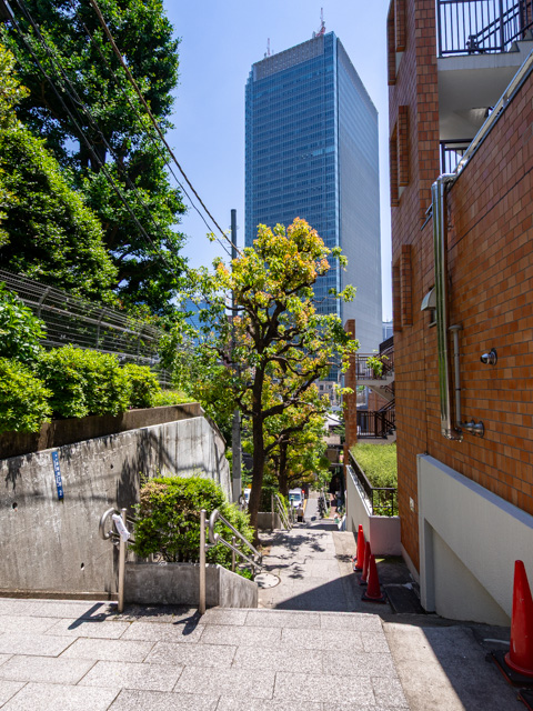 画像を別ウィンドウで表示します 画像