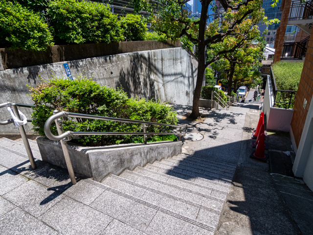 画像を別ウィンドウで表示します 画像