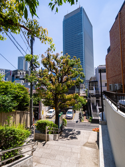 画像を別ウィンドウで表示します 画像