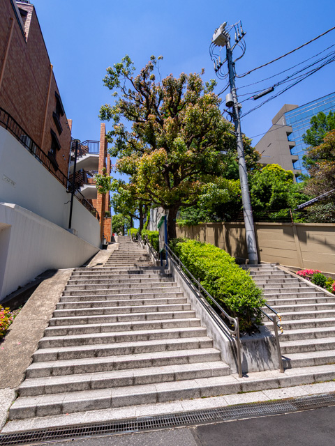 画像を別ウィンドウで表示します 画像