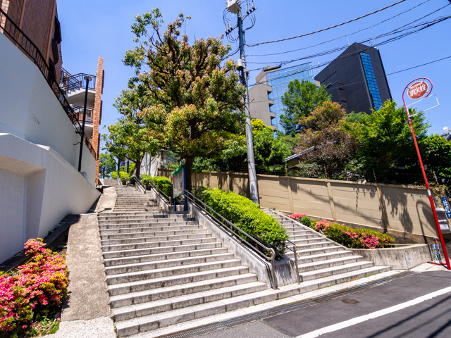 画像を別ウィンドウで表示します 画像