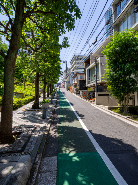 画像を別ウィンドウで表示します 画像